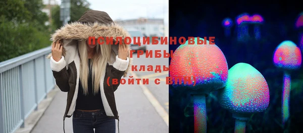 соль ск Алзамай