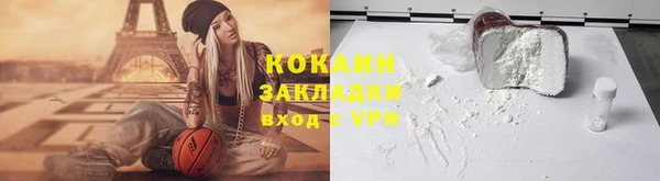 сатива Аркадак